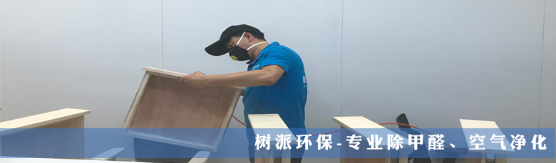 上海树派环保-教育机构除甲醛